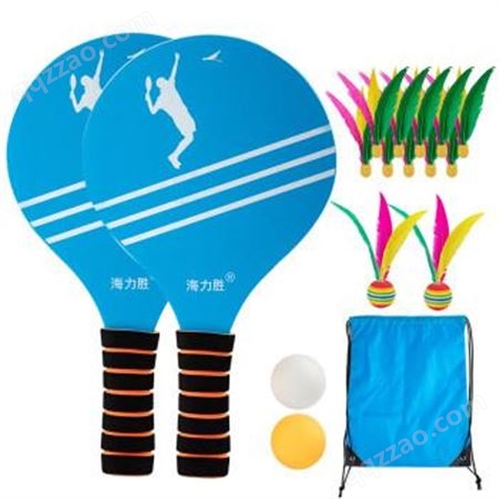 热奥板羽球拍套装毽子毽球拍儿童成人娱乐健身板球室内板乒羽球三毛球带拍 球拍+2小球